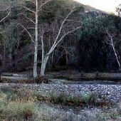 Peter Strauss Ranch - National Park Service (NPS)