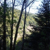 Branscomb Road