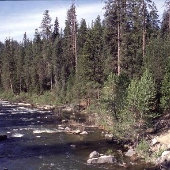 Stanislaus River
