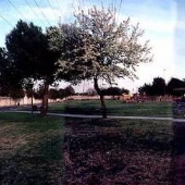 Stanton Central Park / Stanton Skatepark aka Spohn Ranch