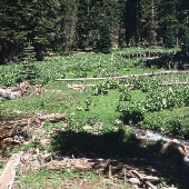 Big Rattlesnake Creek