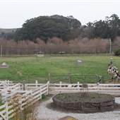 Harley Farms
