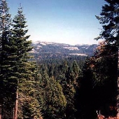 Camp Edison - Southern California Edison (SCE)