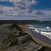Monterey State Beach (SB)