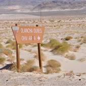 Olancha Sand Dunes - Bureau of Land Management - California Desert District - Ridgecrest Field Office - BLM - Off Highway Vehicle Area - OHV