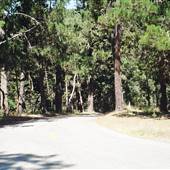 Jacks Peak Road / Jacks Peak Park