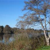 Laguna Grande Regional Park - Interagency / Monterey & Seaside