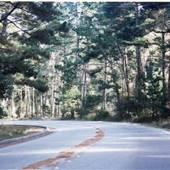 Skyline Drive