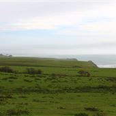 Newport Coastal Trail
