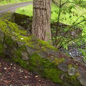 Adobe Canyon Road