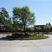 Finley Community Park