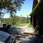 Wolf Run Vineyards