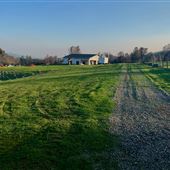Luna Lavender Farms