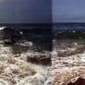Divers Cove Dive Site