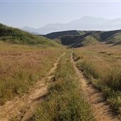 Bracaccini Ranch Property - 50 acres open field / Ranch House / Barns