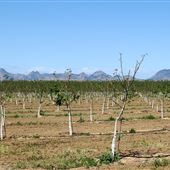 Tierra Buena