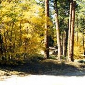 Forest Service Road 2N10 South of Cedar Lake