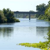 Woodson Bridge State Recreation Area (SRA)