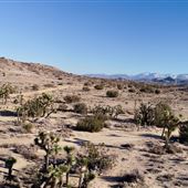 Carr Canyon Ranch