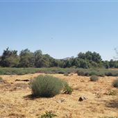 60 acres of vacant raw land - Perris CA