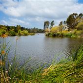 Laguna Niguel Regional Park