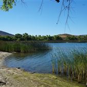 Lake Skinner