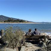 Bolinas