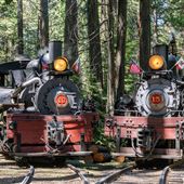 Yosemite Mountain Sugar Pine Railroad