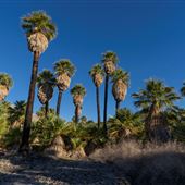 Indio Hills Palms Park Property