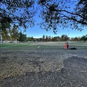Central Park