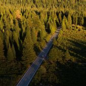 Everitt Memorial Highway