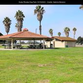 Dusty Rhodes Dog Park