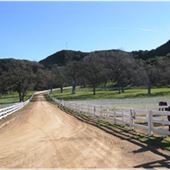 Ventura Farms
