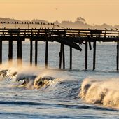 Seacliff State Beach (SB)