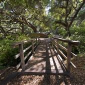 Los Osos Oaks State Natural Reserve (SNR)