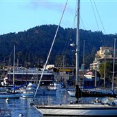 Monterey - Downtown Views