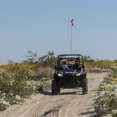 Ocotillo Wells State Vehicular Recreation Area (SVRA)