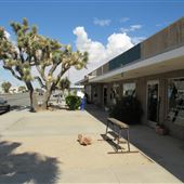 Yucca Valley