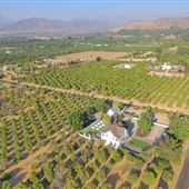 King Street Orchard & Farmhouse