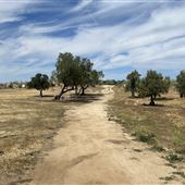 Simpson Park