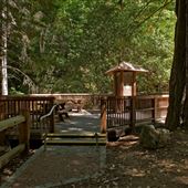 Montgomery Woods State Natural Reserve (SNR)