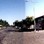 Orland