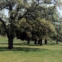 Paradise Ranch