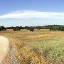Auburn State Recreation Area (SRA)