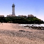 Pigeon Point Light Station State Historic Park (SHP) and Hostellng Accommodations