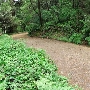 Roaring Camp Railroad