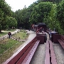 Roaring Camp Railroad