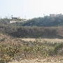 Baldwin Hills Scenic Overlook State Park (SP)