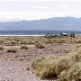 Ballarat Ghost Town