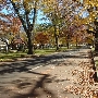 T Street